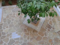 /album/petres/topothetiseis-petron-se-dapeda-2-jpg1/